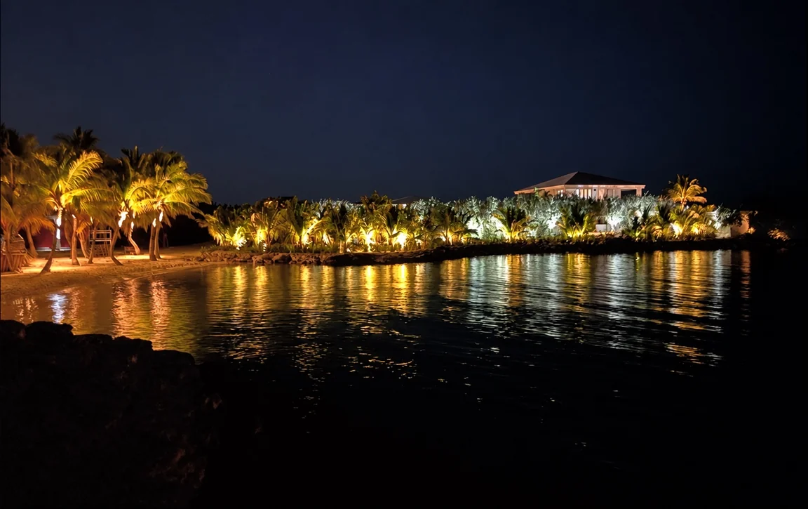 Palms and shoreline planting illuminated at night, with warm reflections across the water