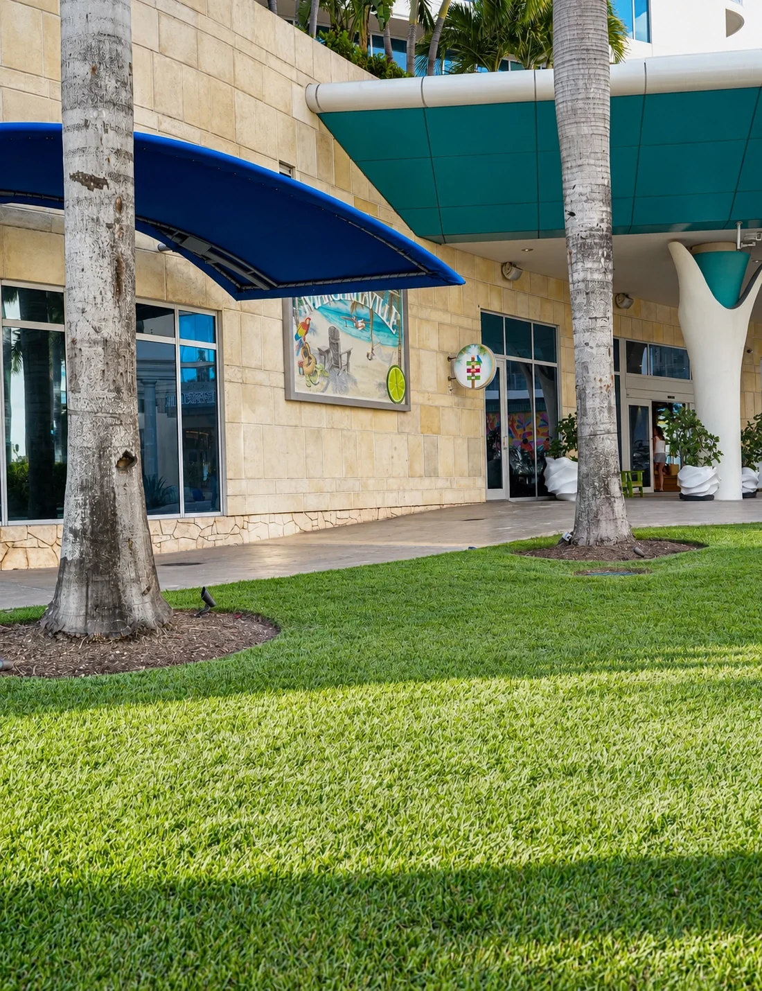 Green lawn around palm trees beside a paved walkway and a building entrance