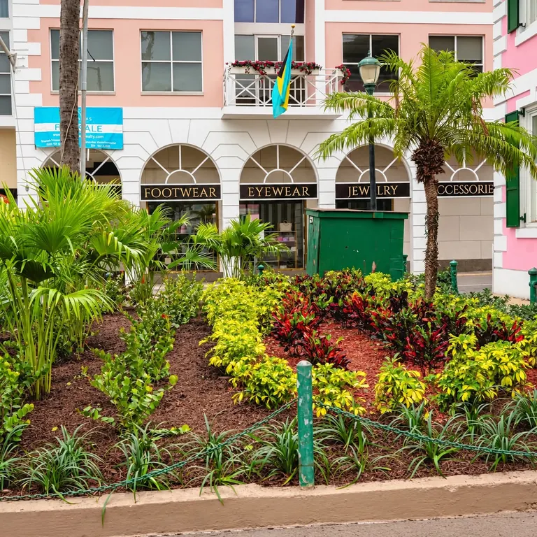 Layered tropical foliage and colourful plants in a curved mulched bed